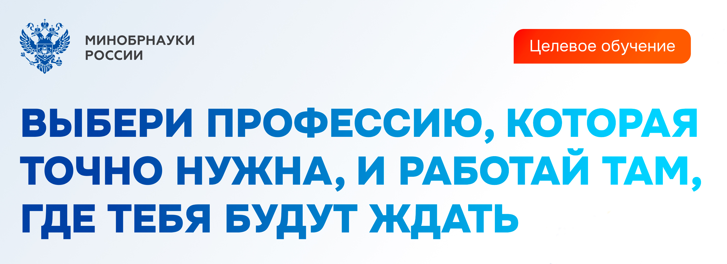 Баннер.